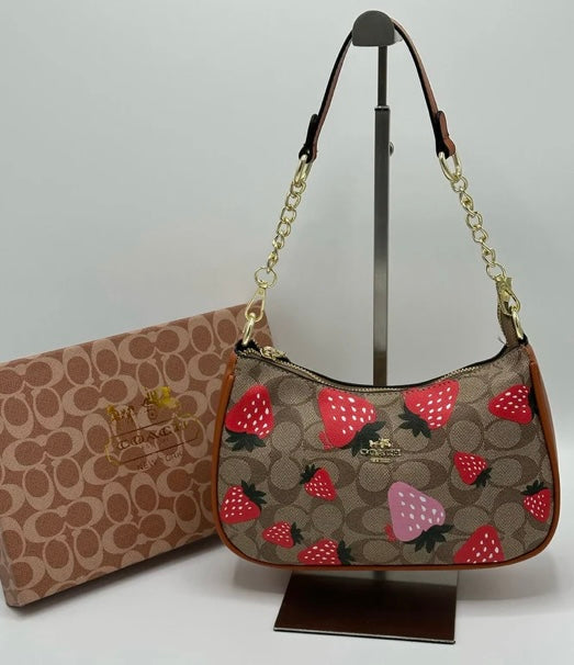 Coach Teri Bag with Brand Box