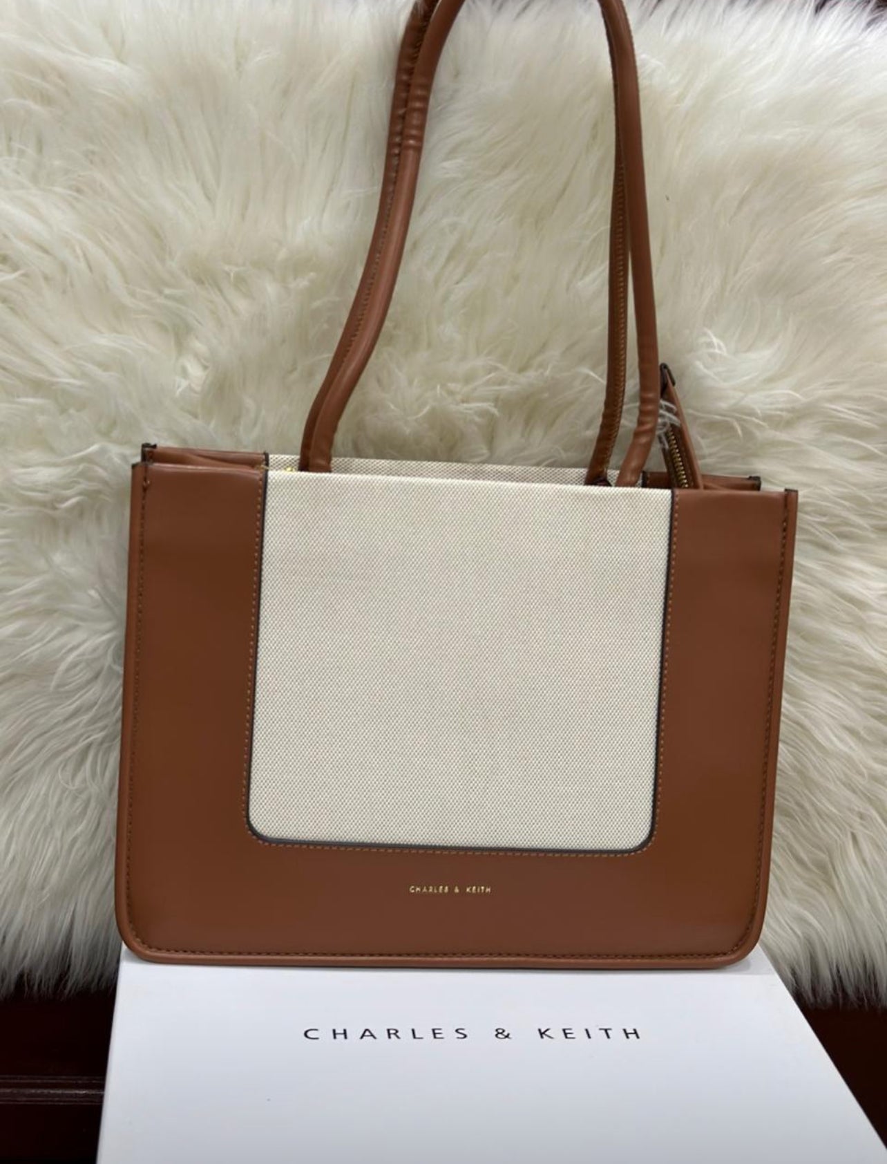 Charles & Keith Bag