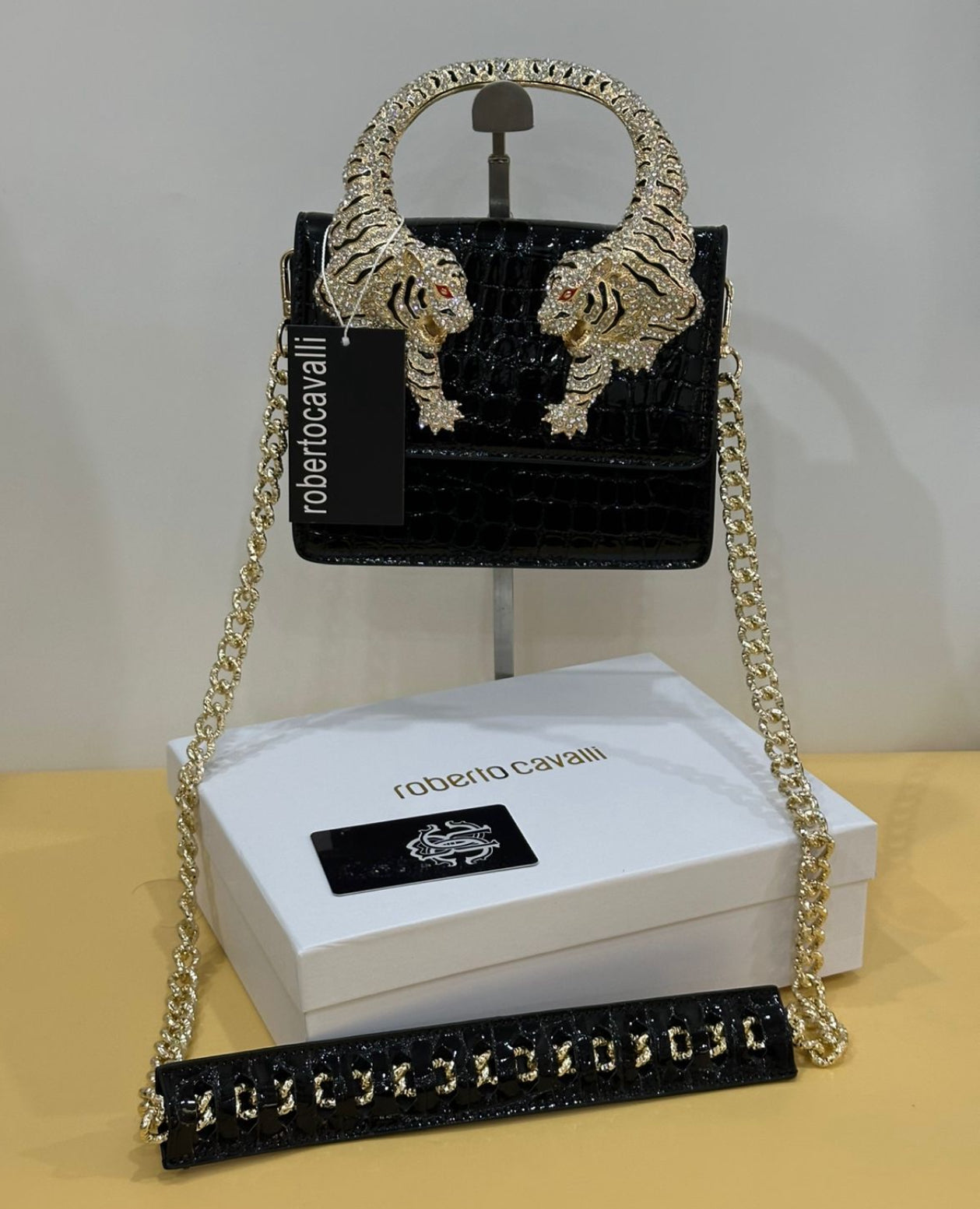 ROBERTO CAVALLI with Brand BOX