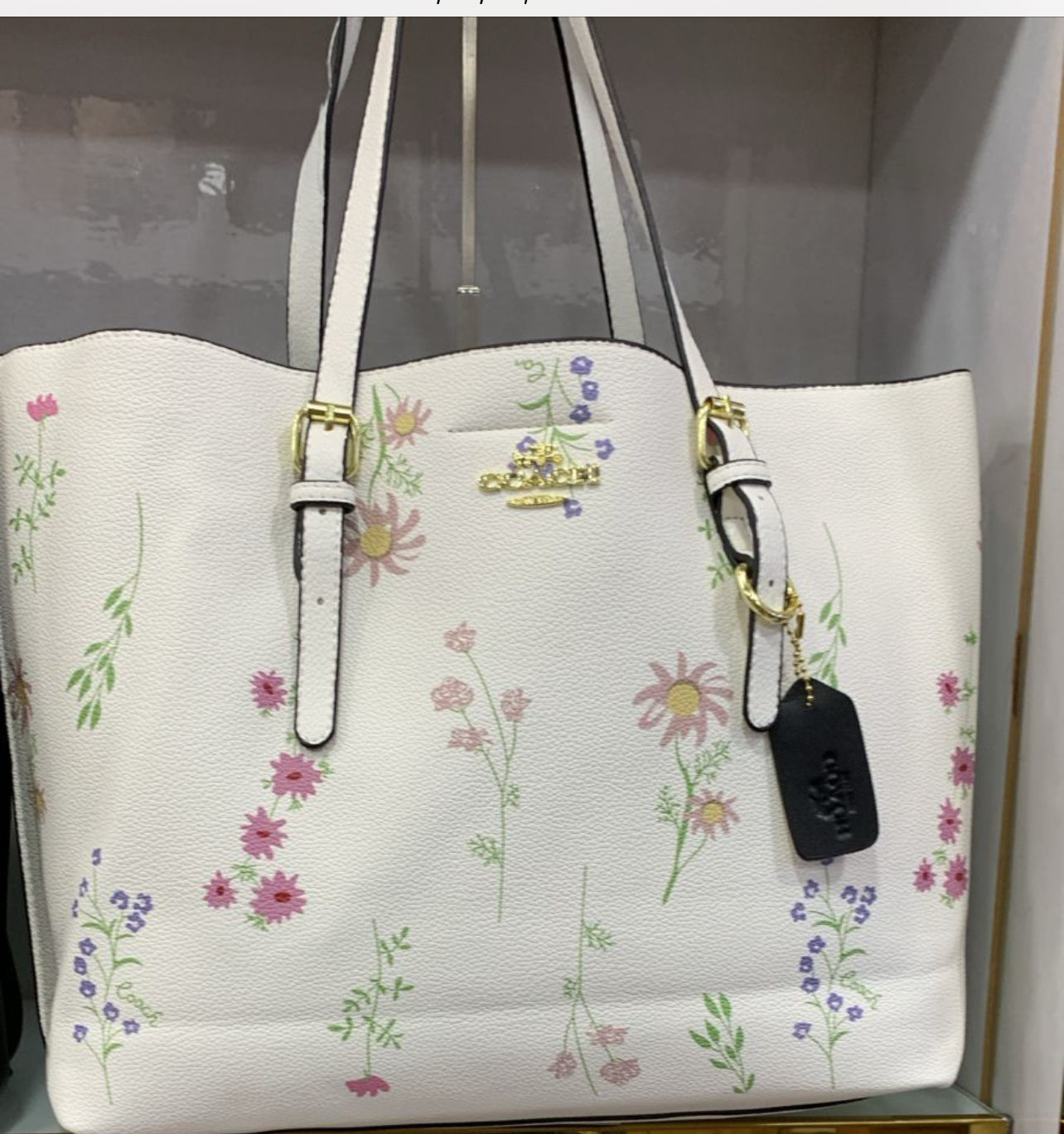 Coach Tote