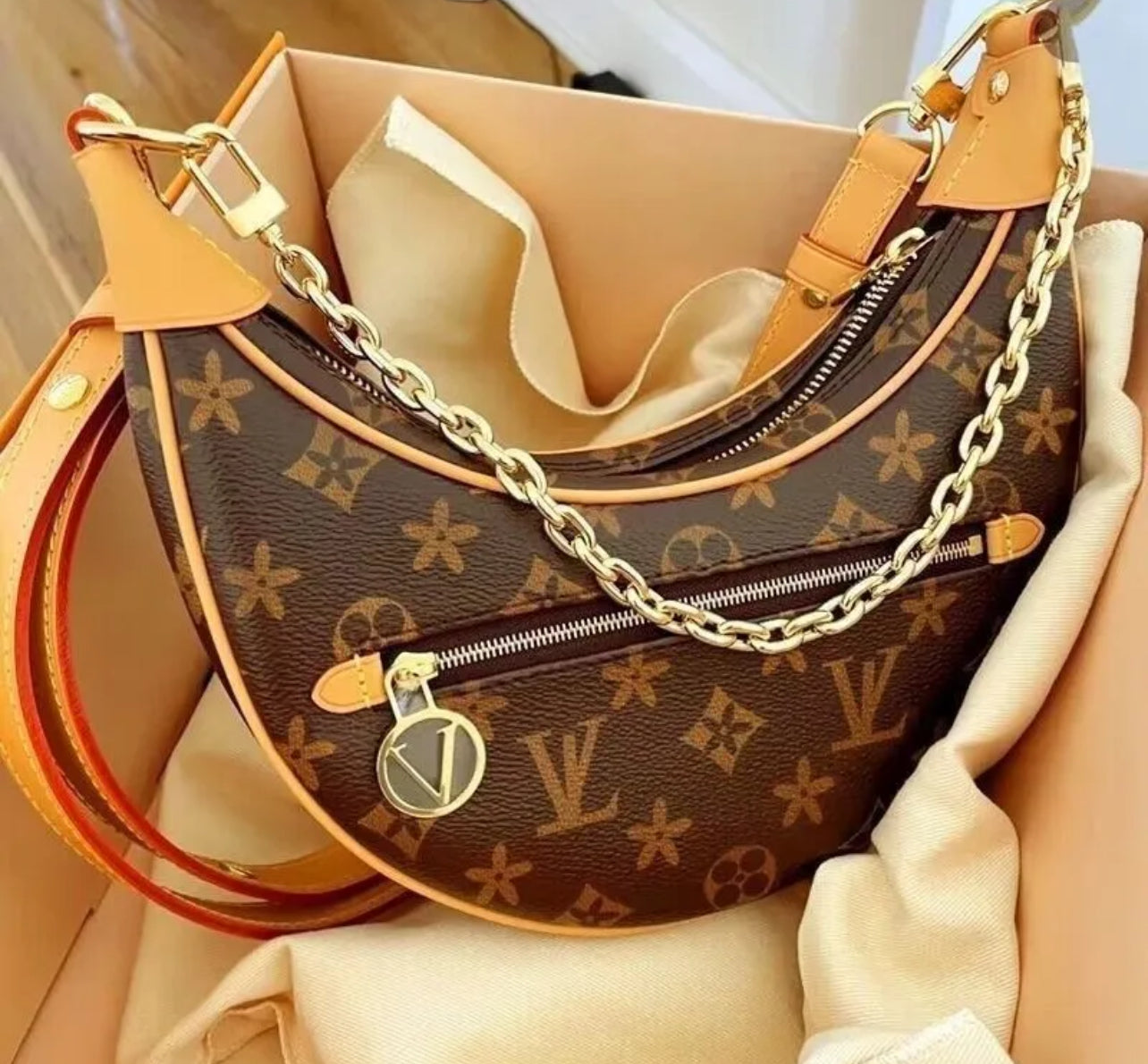 LV Loop Hobo with Brand Box