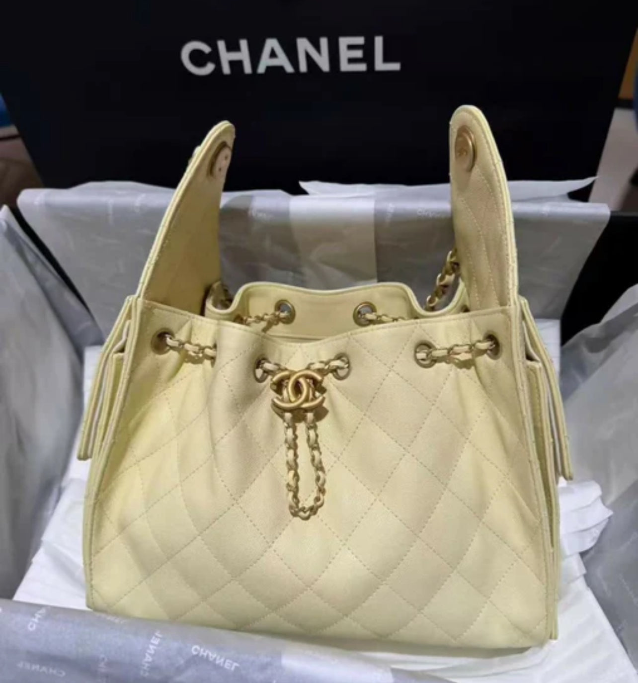 CHANEL 25 Hobo Medium