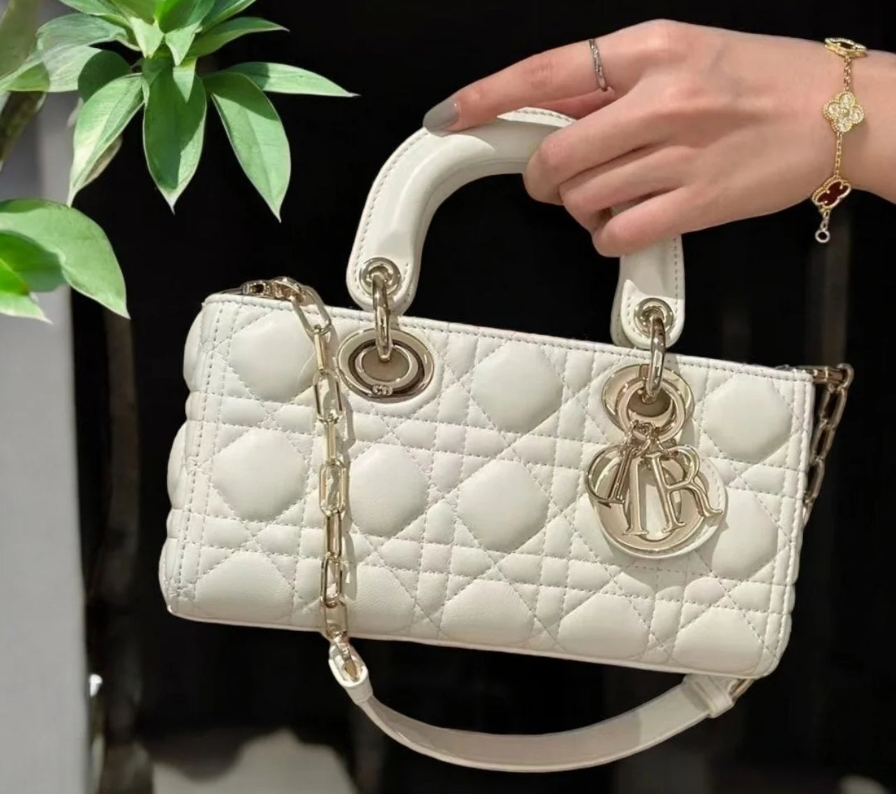 Dior Lady D-Joy with full Premium packaging