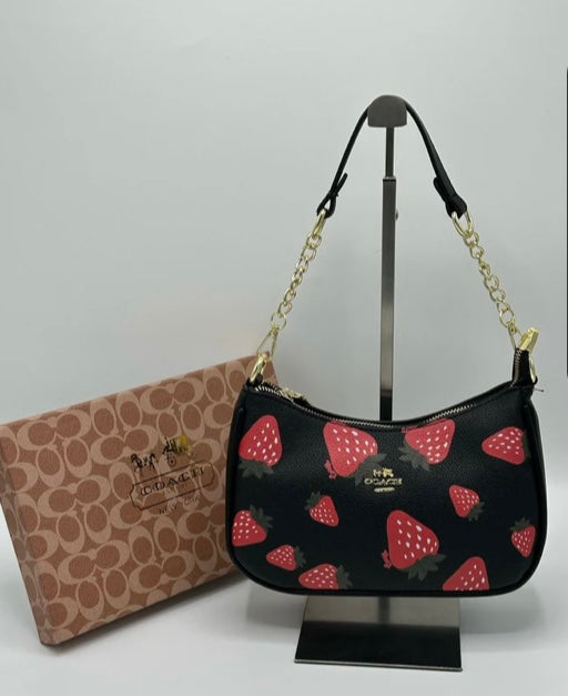 Coach Teri Bag with Brand Box