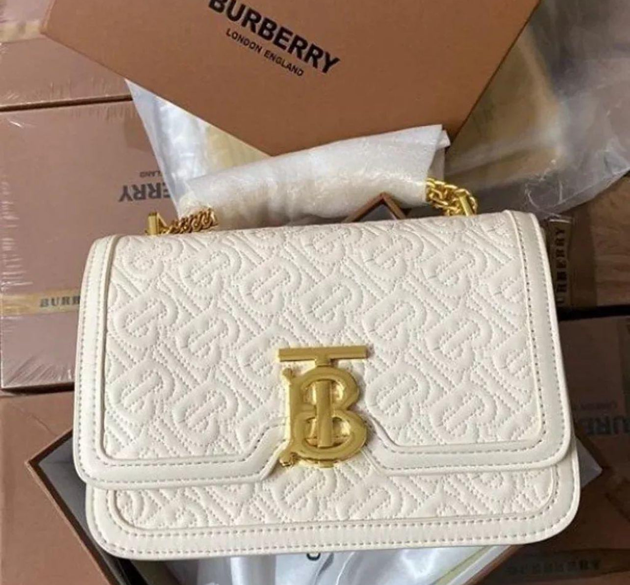 Burberry Bag with Brand Box