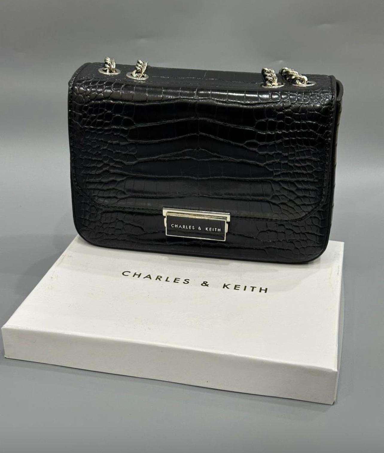 Charles & keith Bag with Brand Box