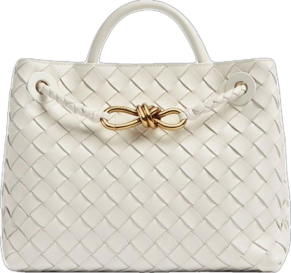 BOTTEGA VENETA BV Andioma Bag