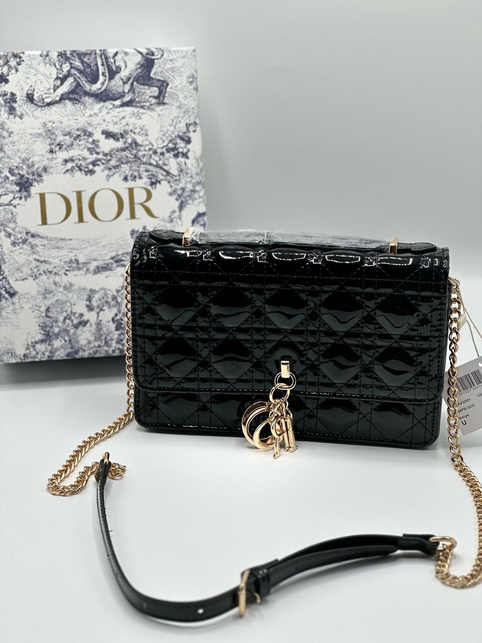 Dior bag with Brand Box