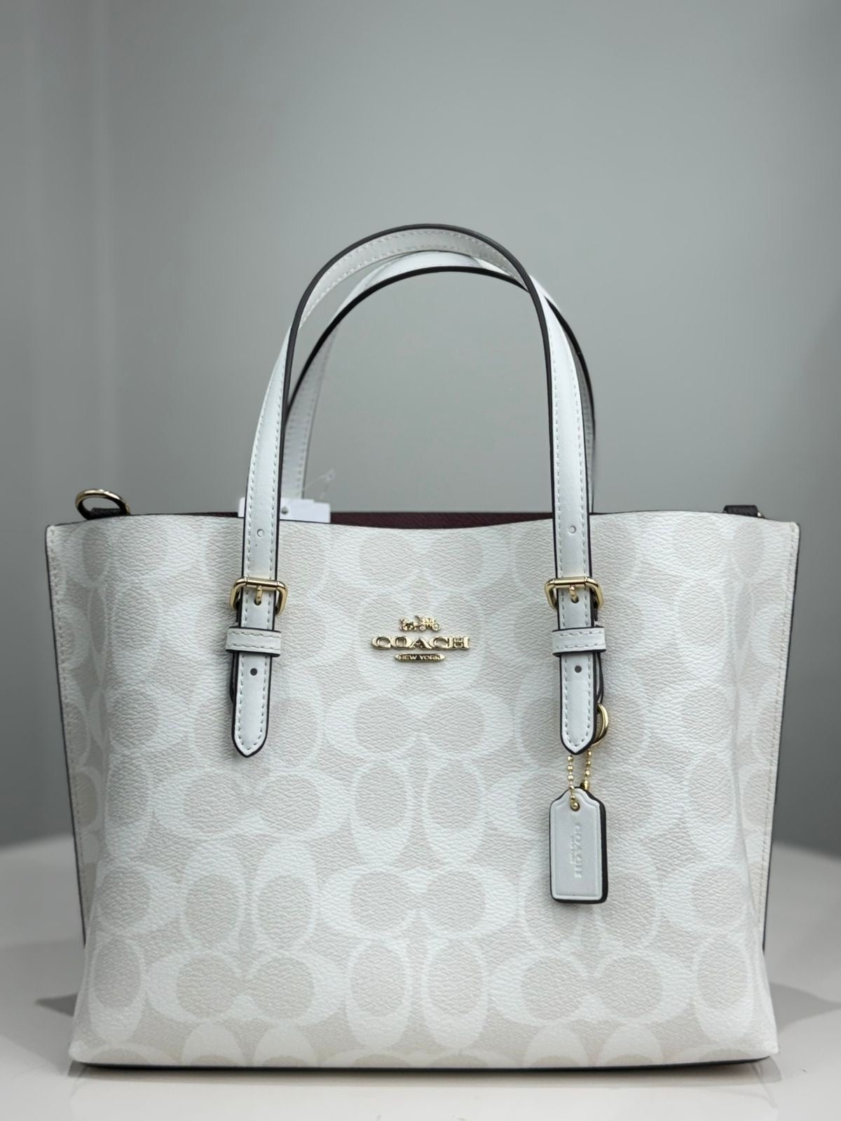 Coach Mollie Tote Bag with Brand Box
