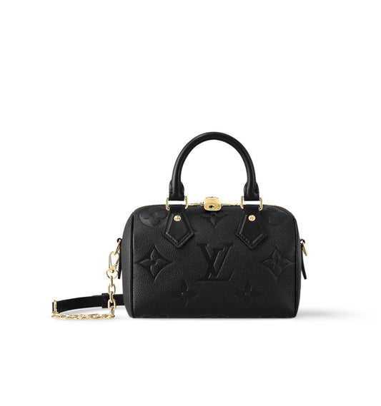 LV Speedy with Brand Box