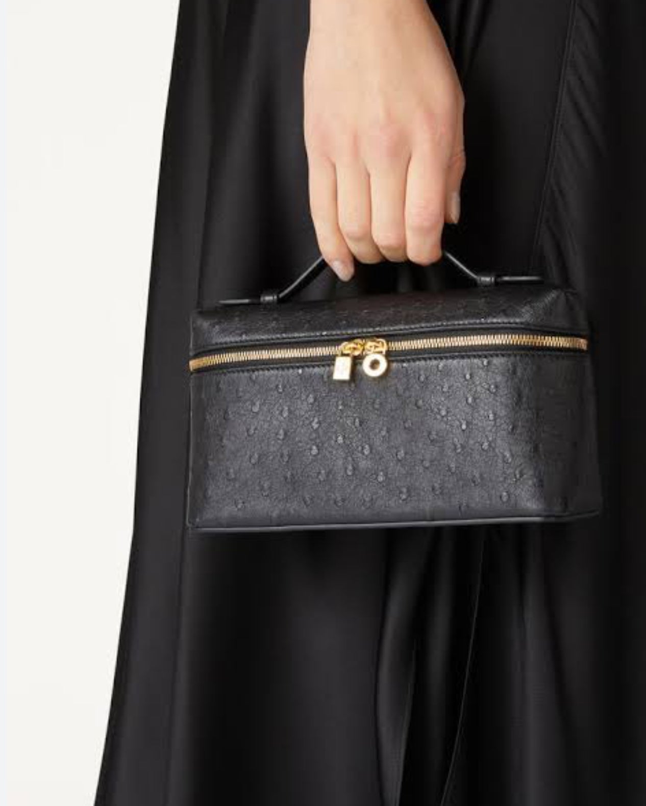 Loro Piana Ostrich Leather with Brand Box