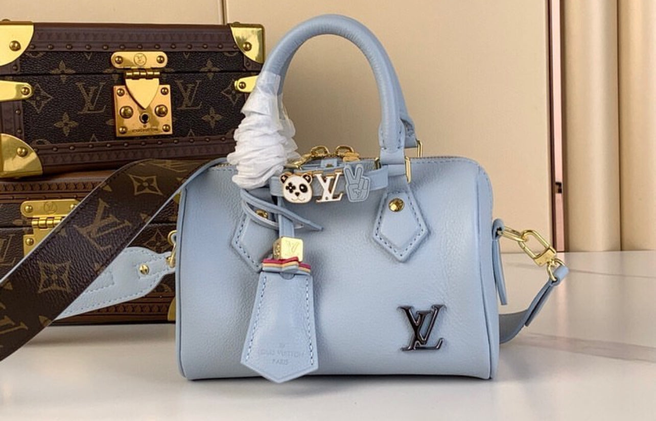 LV Speedy Bag with Brand Box