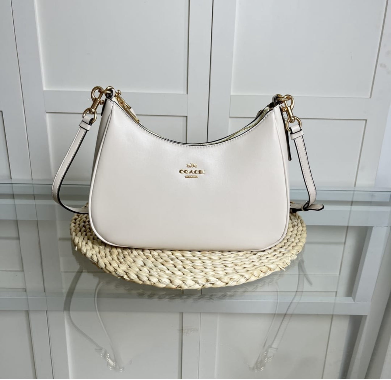 Coach Teri Hobo Bag with Brand Box