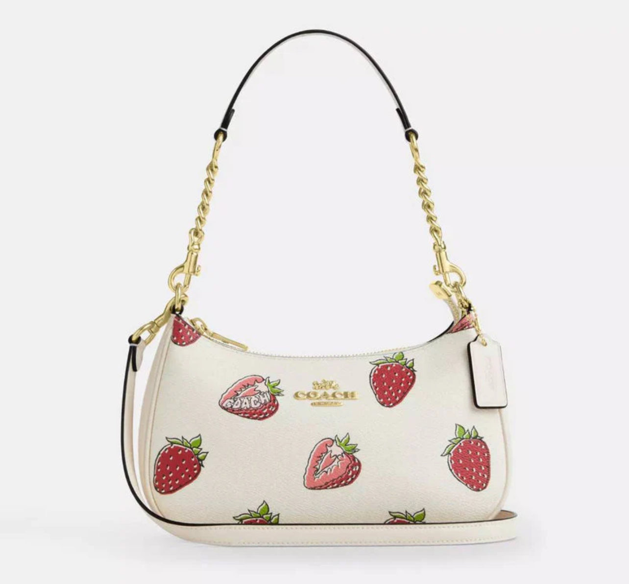 Coach Teri Bag with Brand Box