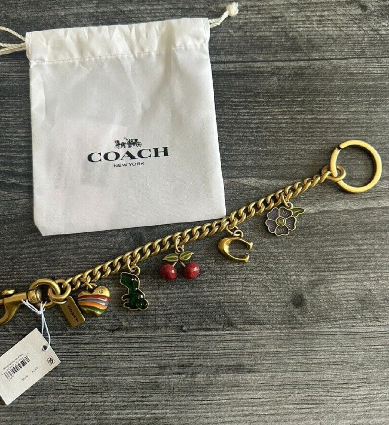 Coach Charm