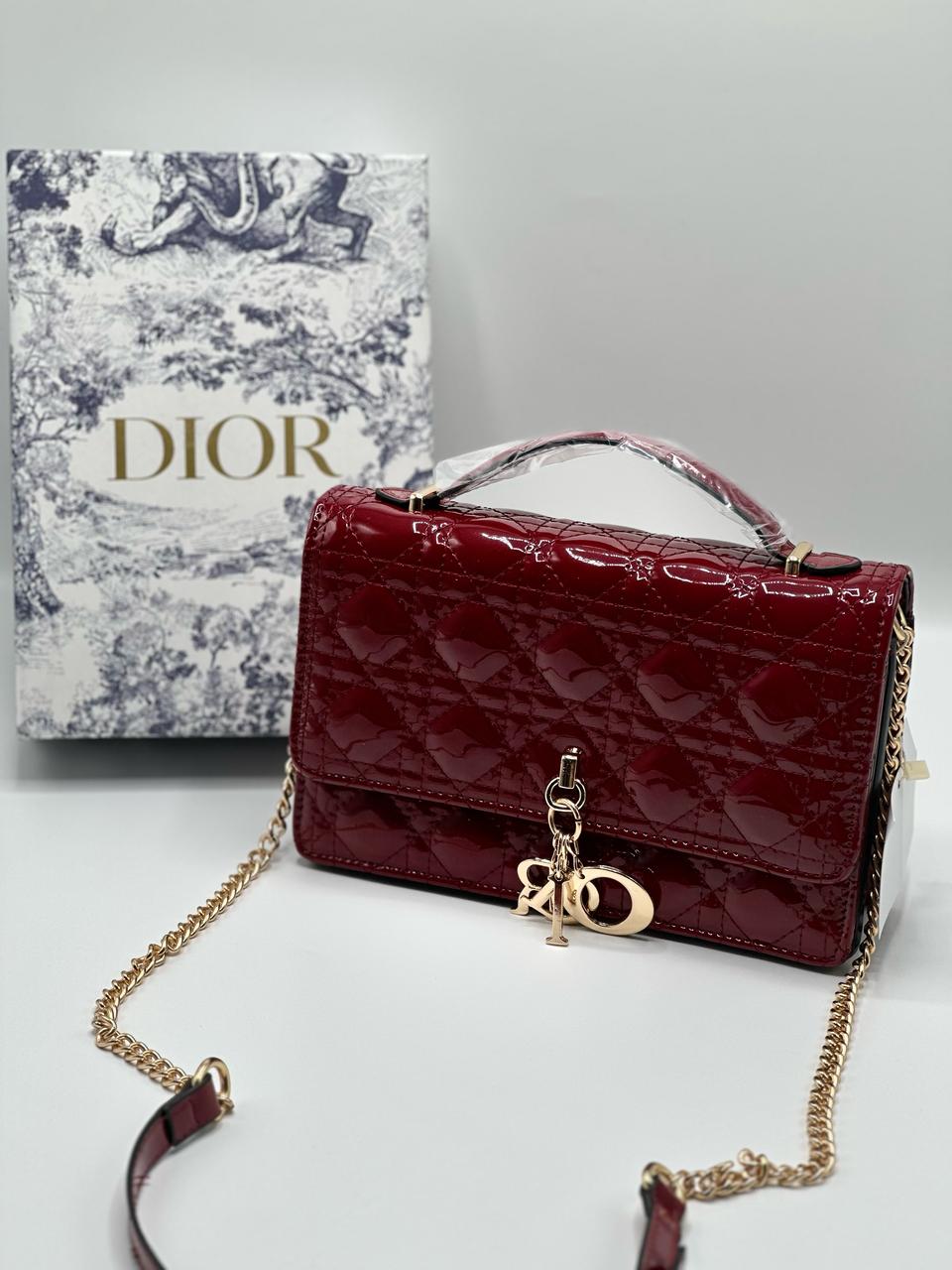 Dior bag with Brand Box