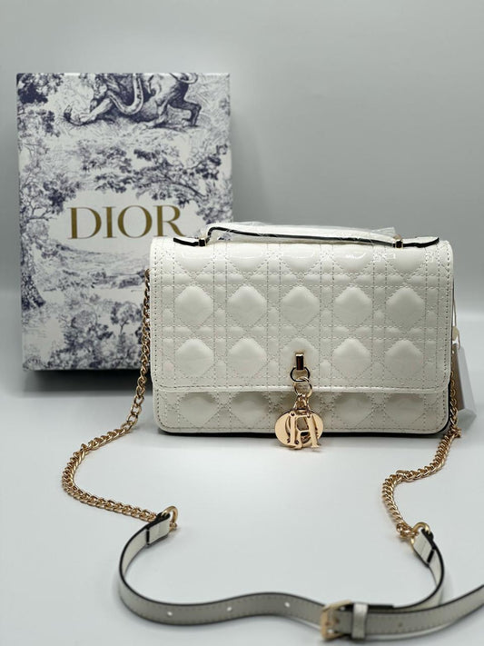 Dior bag with Brand Boz