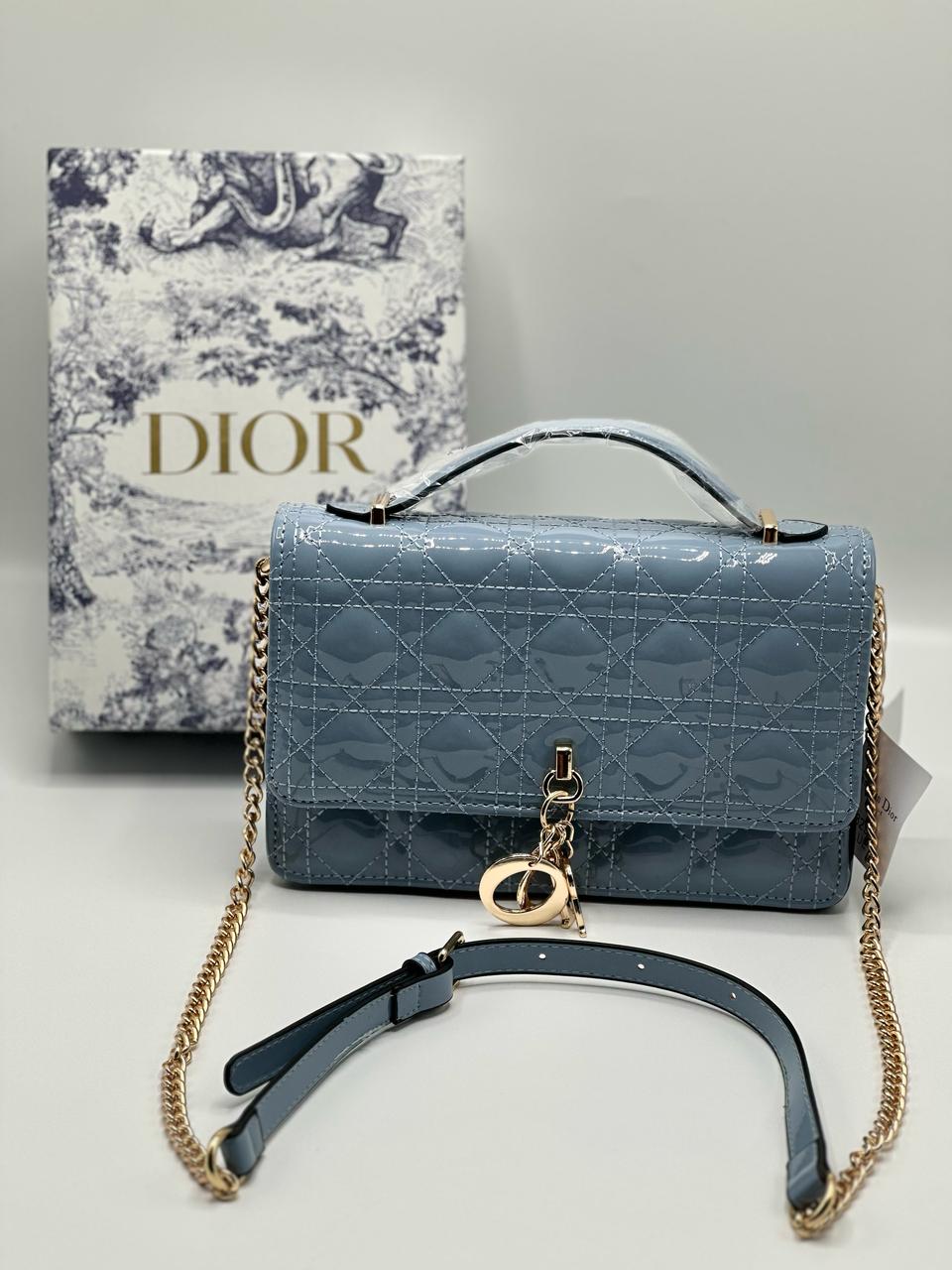 Dior bag with Brand Box