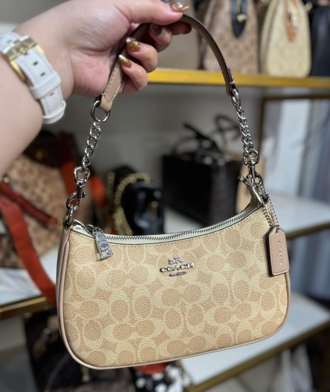 Coach Teri Bag with Brand Box