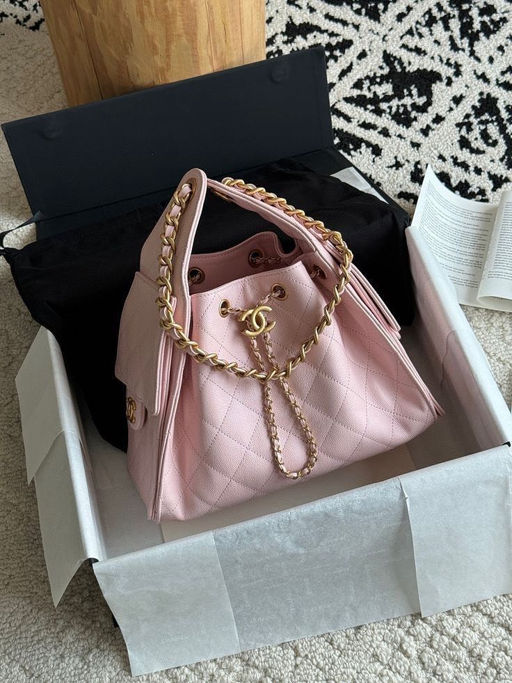 CHANEL 25 Hobo with Complete Packaging